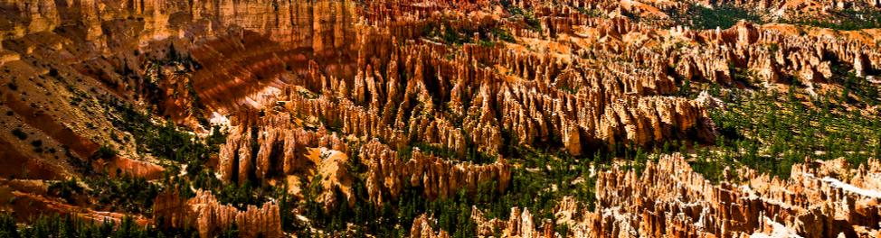 Bryce03564