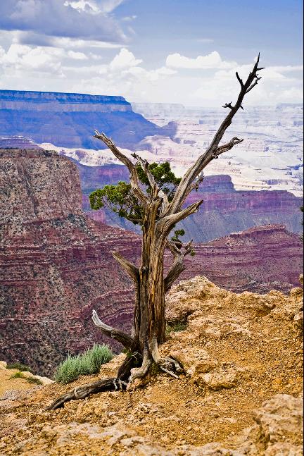 GrandCanyon01632