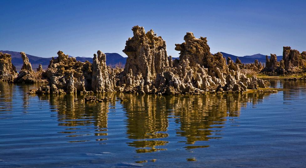 Monolake22815