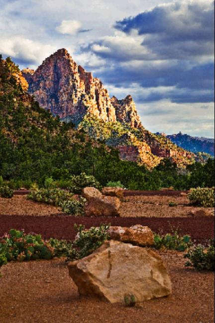 Zion03719