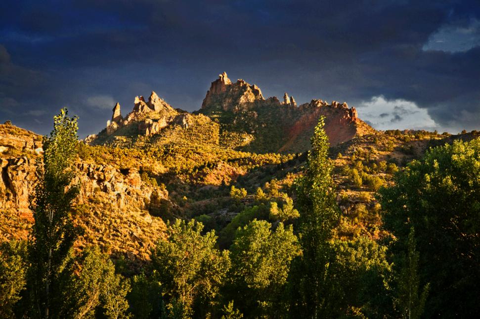 Zion05321